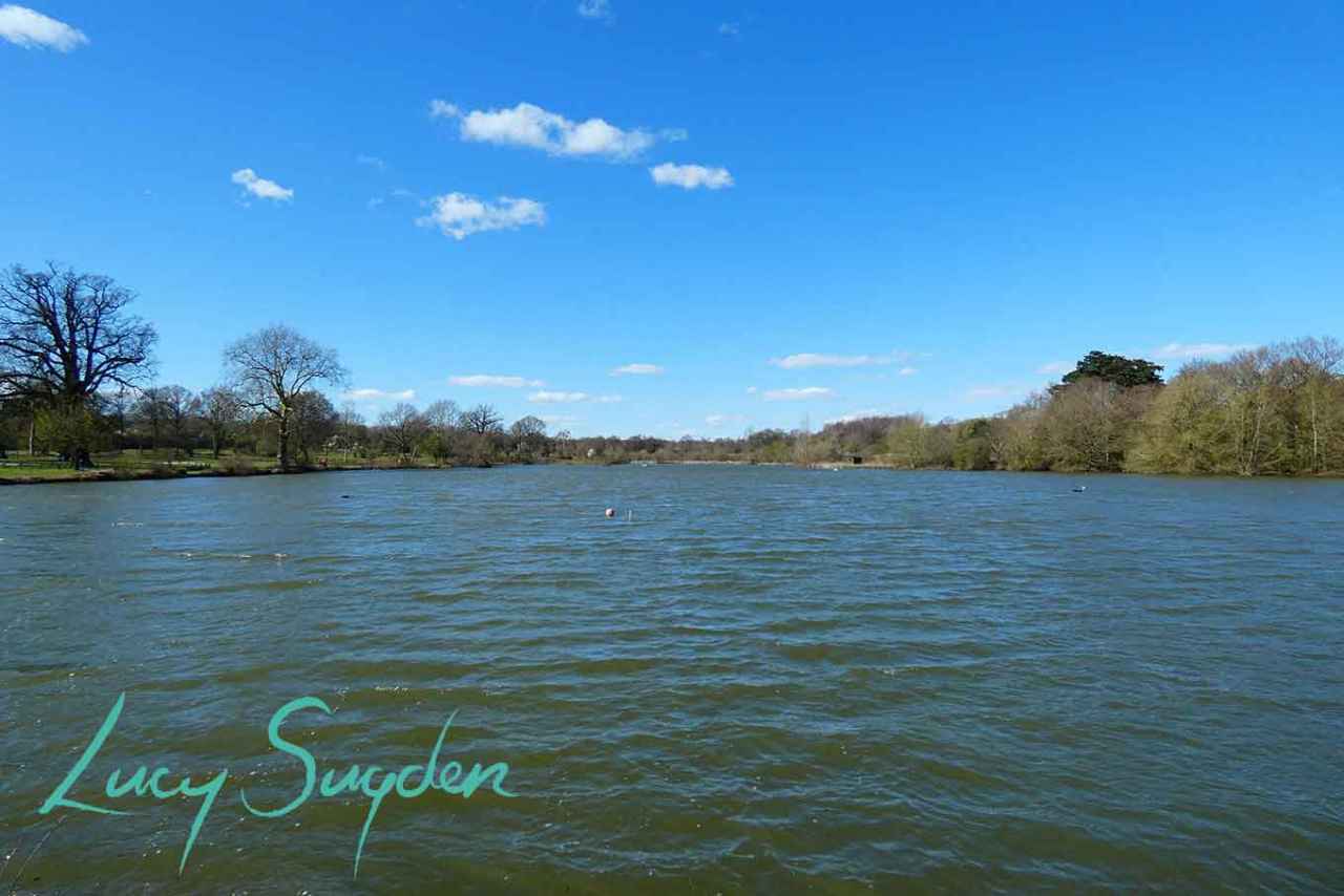 Bishop's Stortford in Hertfordshire