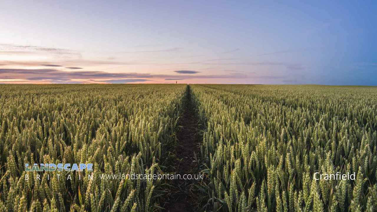 Cranfield in Bedfordshire