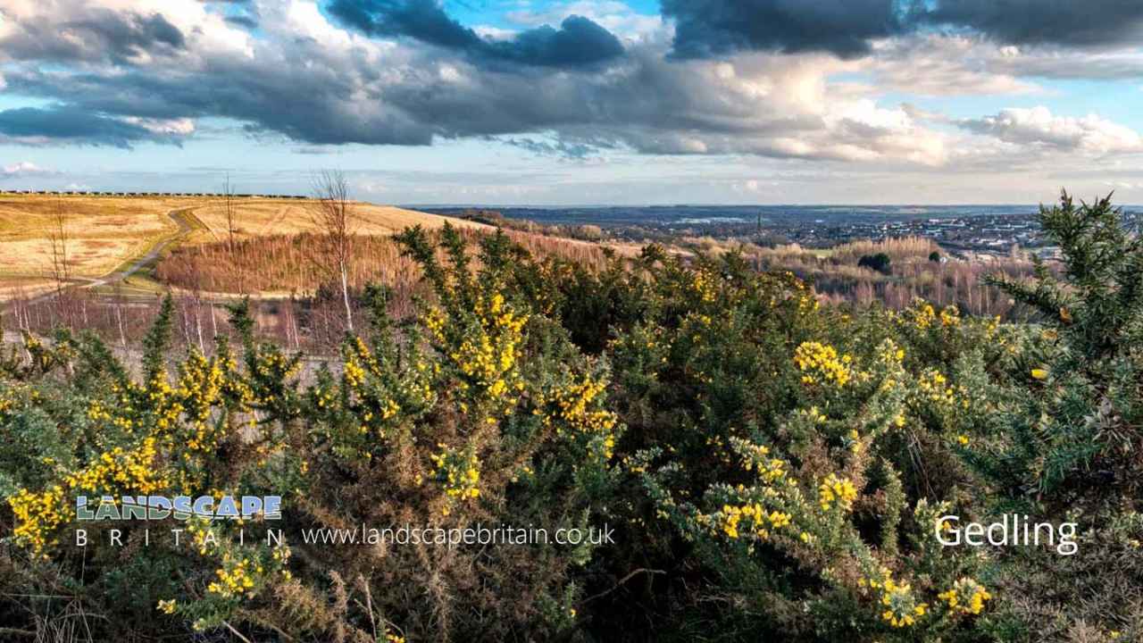 Gedling in Nottinghamshire