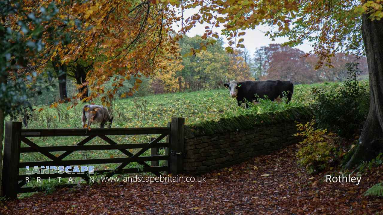 Rothley in Northumberland