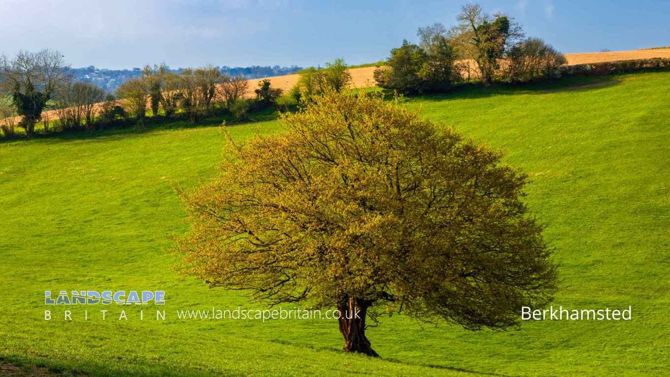 Berkhamsted