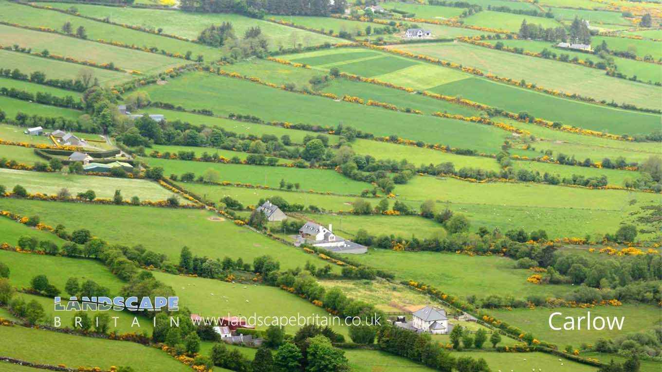 County Carlow