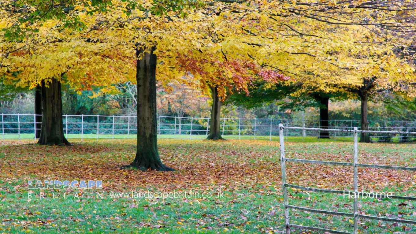 Harborne