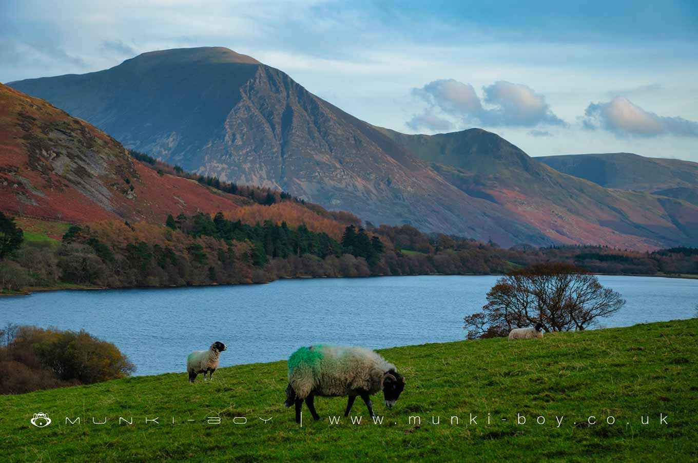 Cockermouth