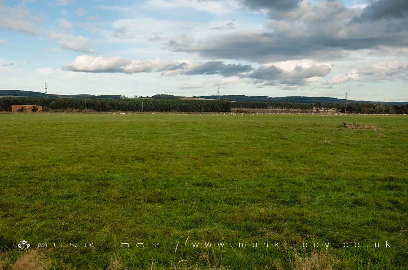 Milfield