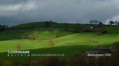 Blackdown Hills AONB