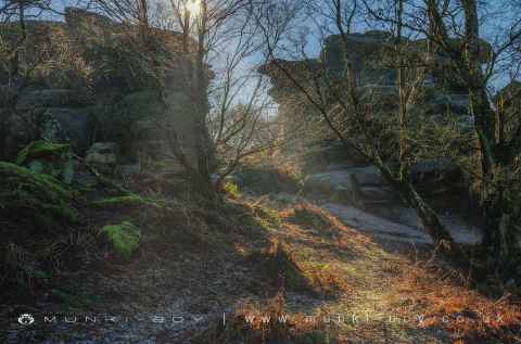 Brimham Rocks