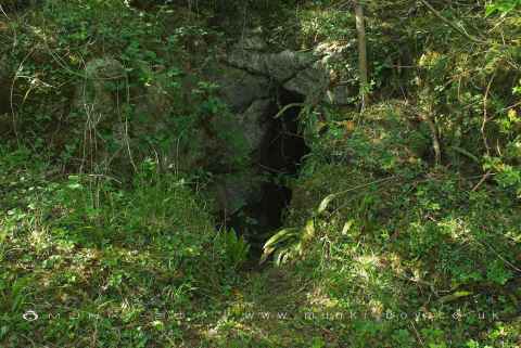 Fairy Hole