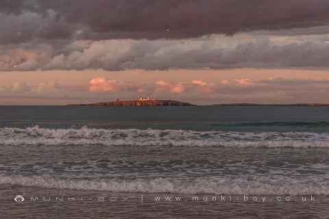 Farne Islands