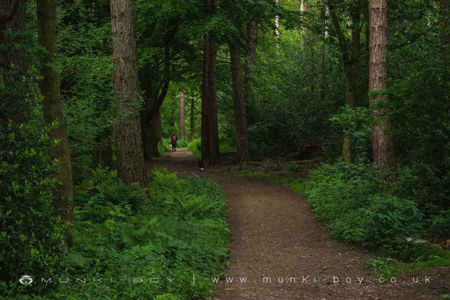 Woodland Path at Brinscall Walk Map