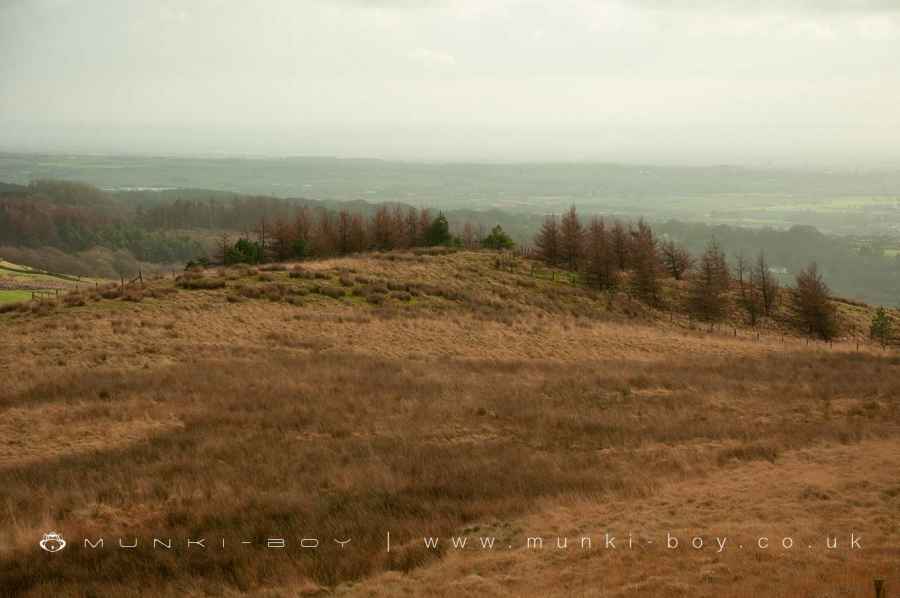 Brown Hill Walk Map