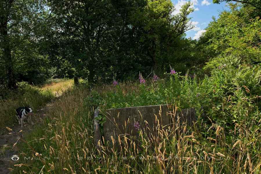 The old Flagstone Wall at the site of Lower Ridge Walk Map