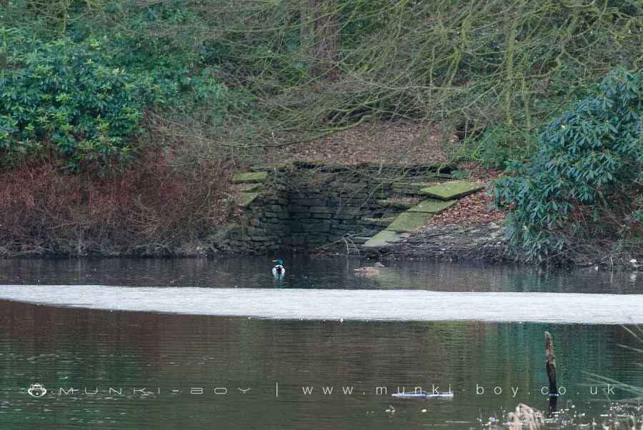 Old Landing Stage on the island at Upper Rivington Reservoir Walk Map