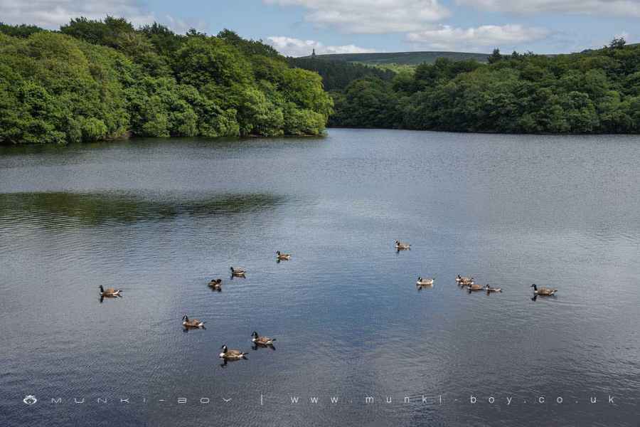 Lower Roddlesworth Reservoir Walk Map