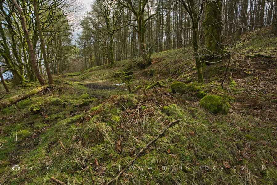 Lower Tarkingtons (ruin) Walk Map