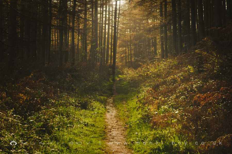 Old Road to Appletree Worth Walk Map