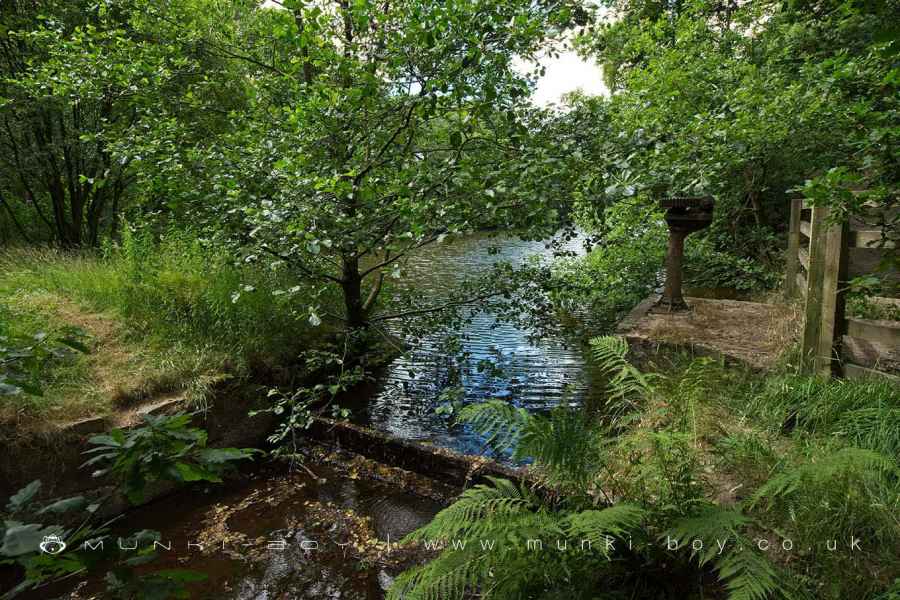 Old Sluice at Simons Lodge Walk Map