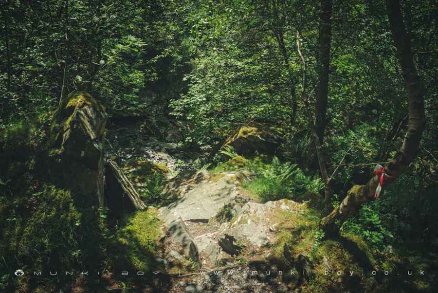 Path down into Parrock Quarry Walk Map