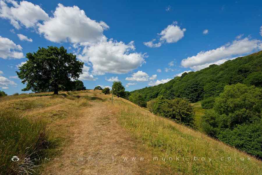 Redisher Ridge Walk Map