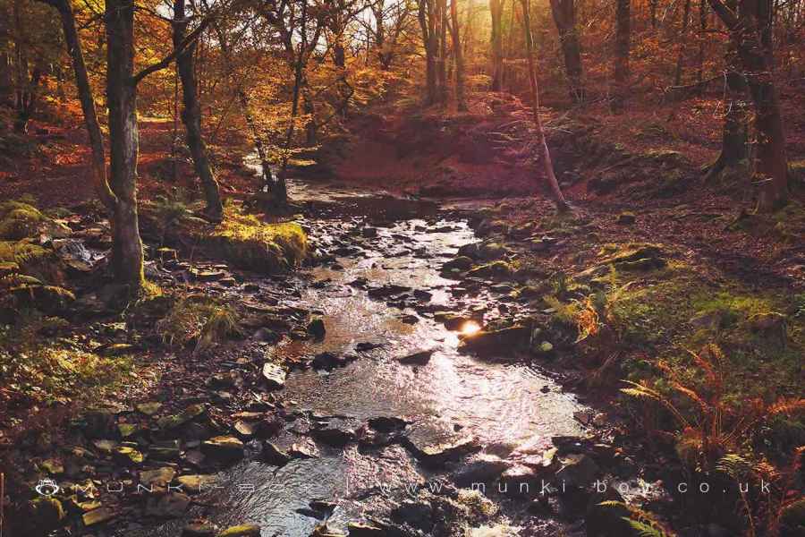 River Roddlesworth in Autumn Walk Map