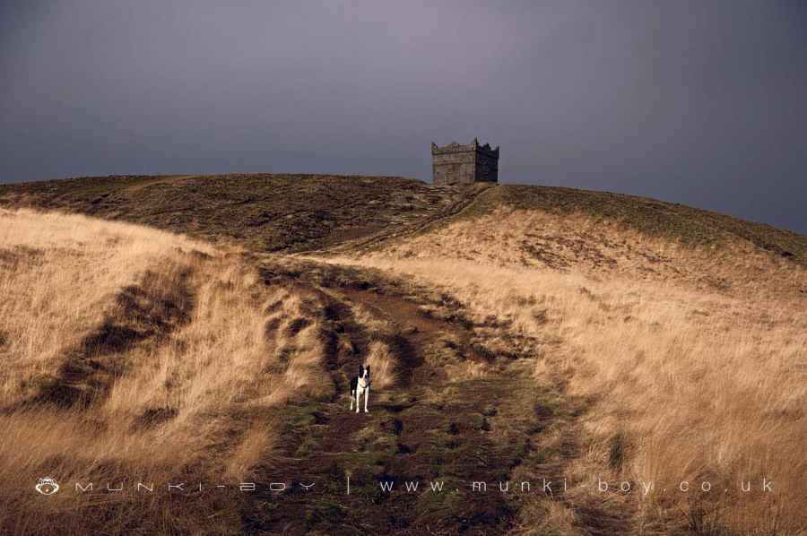 The Rough Track Up Rivington Pike Walk Map