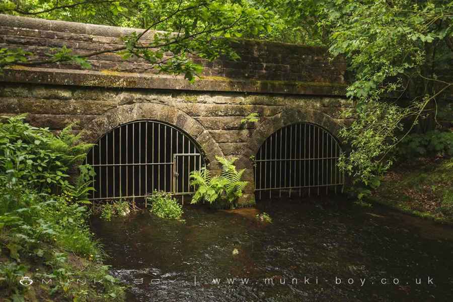 The Goit Emerges in Wheelton Plantation Walk Map