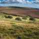 Hiking Areas in Chorley