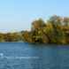 Lakes in Haysden Country Park