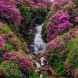 The Blue Lagoon Waterfall