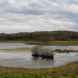 Nature Reserves in Preston