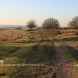 Country Parks in Staffordshire