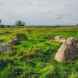 Castlehowe Stone Circle