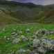 Cautley Iron Age Settlement