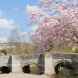 Towns in Shropshire