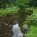 Crowdundle Beck