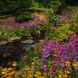 Gardens in Worsley