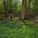 Duxbury Park Colliery (ruin)