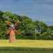 Haigh Windmill