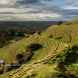 Hambledon Hill