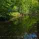 Hebden Beck