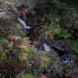 Waterfalls in Lead Mines Clough