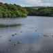 Lower Roddlesworth Reservoir