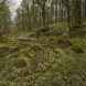 Ruins in The Turton Reservoirs