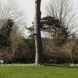 Nature Reserves in Greater London