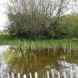Lakes in Hertfordshire