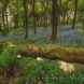 Woodlands in Rochdale