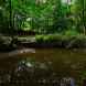 Nature Reserves in Bury