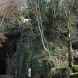 Waterfalls in Denbighshire (Sir Ddinbych)