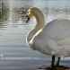 Higham Ferrers Riverside Park