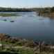 Nature Reserves in Sandwell Valley Country Park